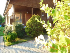 MARINA in Wicie